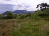 Arroyo Seco Treasure